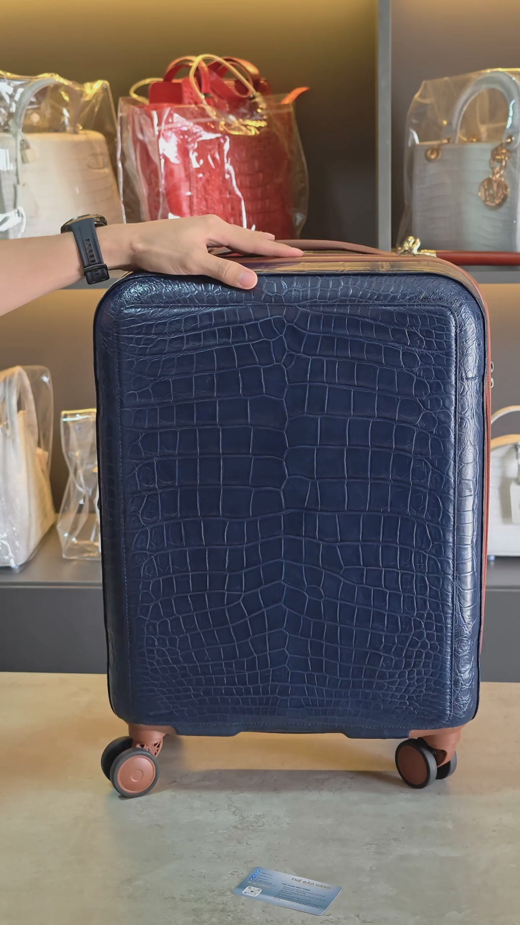 Vali VLB-01-pb2-v2-2026-06-24-01.mp4